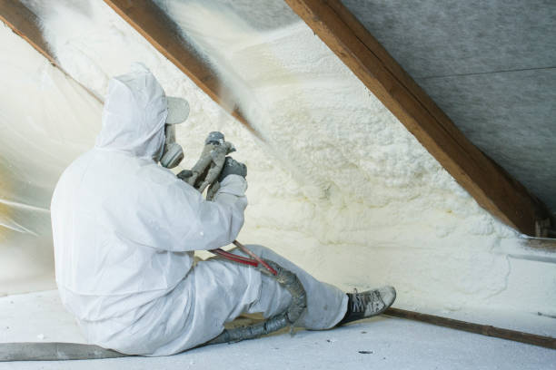 Best Attic Insulation Installation in Pelahatchie, MS